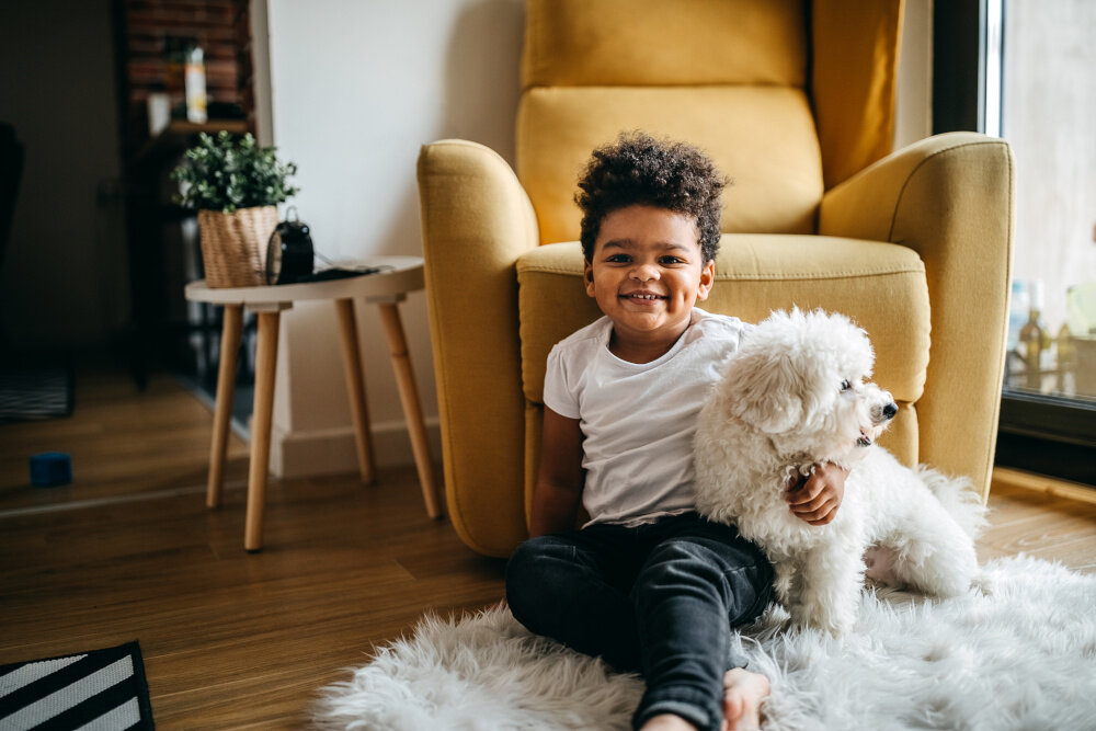 Junge spielt mit Hund im Wohnzimmer und umarmt ihn | © StefaNikolic/E+ via Getty Images