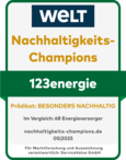 WELT-Siegel Nachhaltigkeits-Champions Besonders Nachhaltig 123energie